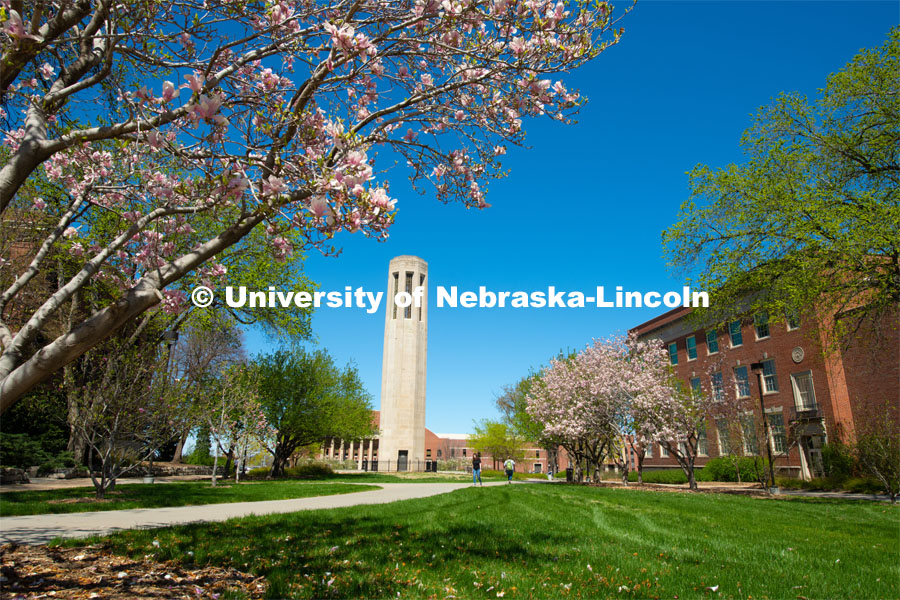 The trees are in full bloom around the Mueller Bell Tower as spring makes its appearance on UNL’s City Campus. April 19, 2019. Photo by Gregory Nathan / University Communication.
